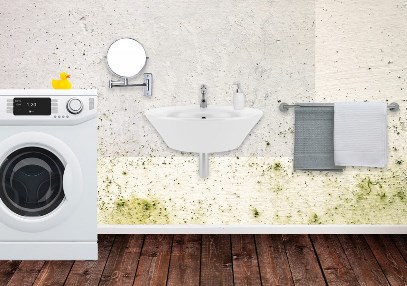 Keine Chance für Schimmel