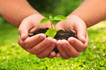 Böden – Grundlage unserer Nahrung