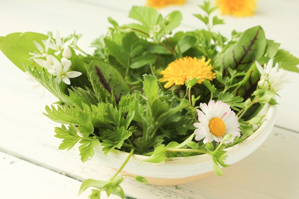 „Wilde“ Kräuter –  Energiepakete fürs Frühjahr