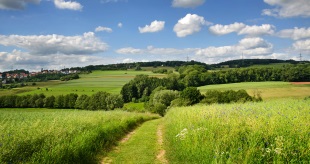 Stickstoff - vom Nährstoff zum Problem
