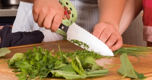 Haushaltsmythen - Sinn oder Unsinn?