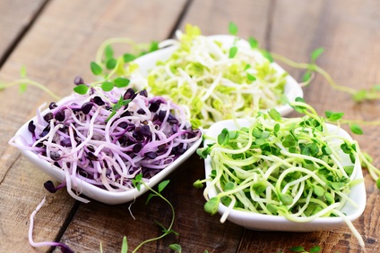 Microgreens immer beliebter