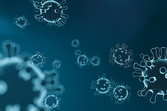 Coronavirus - Übertragung durch Lebensmittel unwahrscheinlich