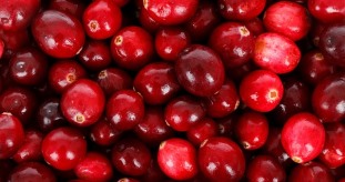 Cranberrys – Gesundheitswerbung nicht erlaubt