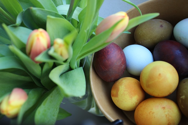 Eier mit Naturmaterialien färben - so gehts