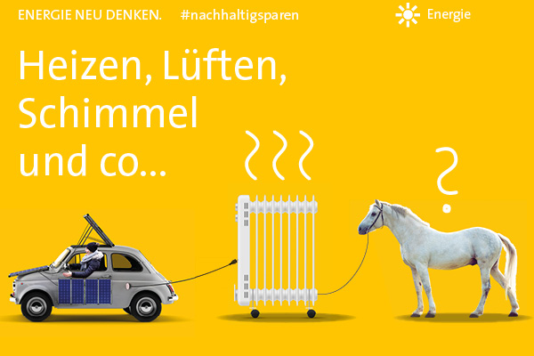 Sinnvoll heizen und lüften, Schimmel vermeiden