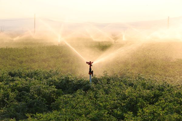 Wasser im Warenkorb: Wie Konsum die Welt verändert